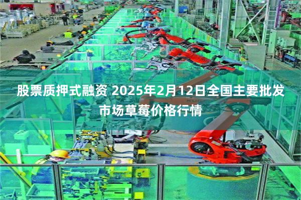 股票质押式融资 2025年2月12日全国主要批发市场草莓价格行情