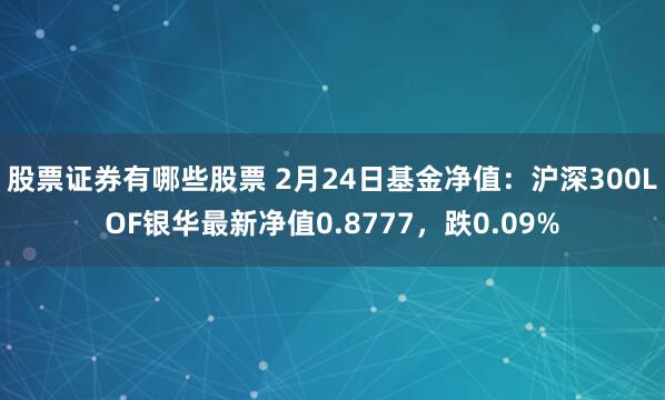 股票证券有哪些股票 2月24日基金净值：沪深300LOF银华最新净值0.8777，跌0.09%