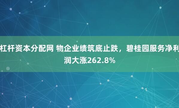 杠杆资本分配网 物企业绩筑底止跌，碧桂园服务净利润大涨262.8%