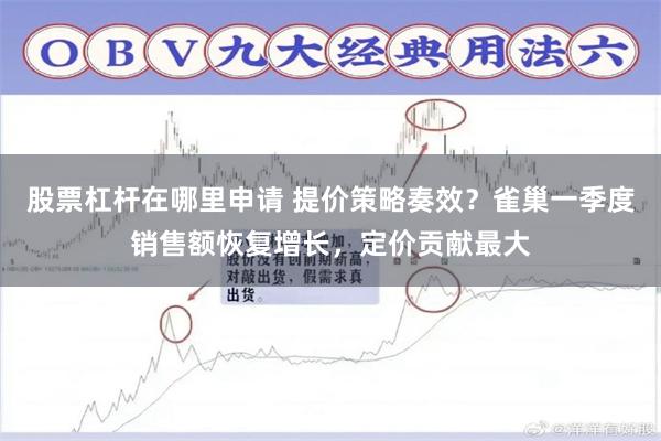 股票杠杆在哪里申请 提价策略奏效？雀巢一季度销售额恢复增长，定价贡献最大