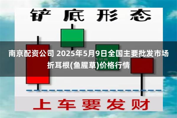 南京配资公司 2025年5月9日全国主要批发市场折耳根(鱼腥草)价格行情