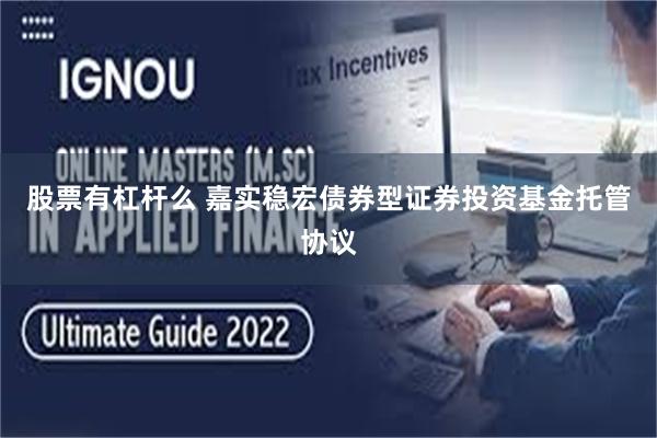 股票有杠杆么 嘉实稳宏债券型证券投资基金托管协议