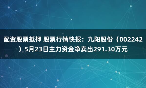 配资股票抵押 股票行情快报：九阳股份（002242）5月23日主力资金净卖出291.30万元