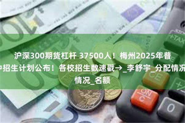 沪深300期货杠杆 37500人！梅州2025年普通高中招生计划公布！各校招生数速戳→_李舒宇_分配情况_名额