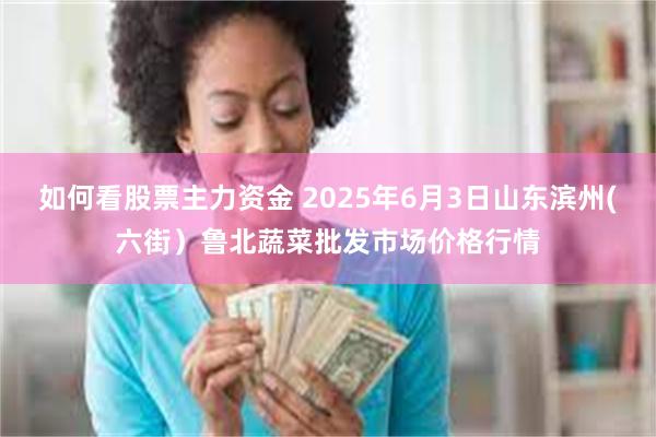 如何看股票主力资金 2025年6月3日山东滨州(六街）鲁北蔬菜批发市场价格行情