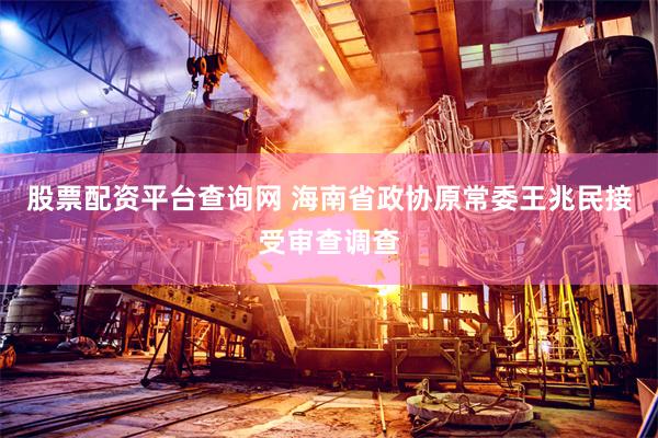 股票配资平台查询网 海南省政协原常委王兆民接受审查调查