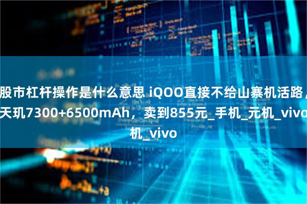 股市杠杆操作是什么意思 iQOO直接不给山寨机活路，天玑7300+6500mAh，卖到855元_手机_元机_vivo